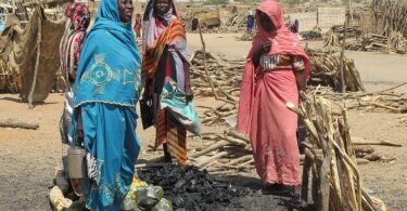 نساء نازحات يبعن الفحم في سوق بمدينة الفاشر عاصمة شمال دارفور