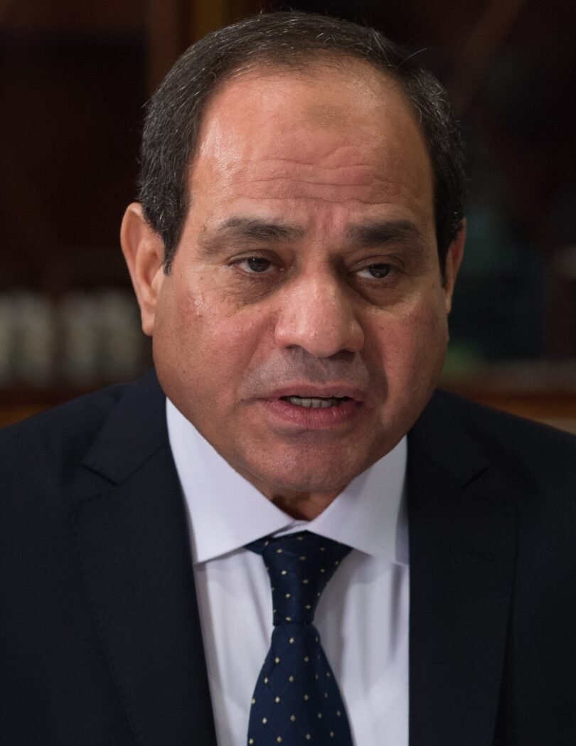 الرئيس المصري عبد الفتاح السيسي في صورة أرشيفية