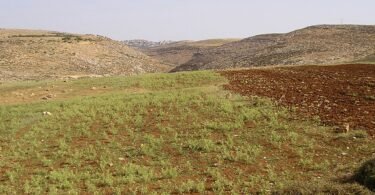منظر لقرية الطيبة شرق رام الله في الضفة الغربية، صورة أرشيفية